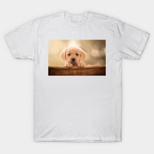 Labrador Retriever Puppy Digital Painting T-Shirt